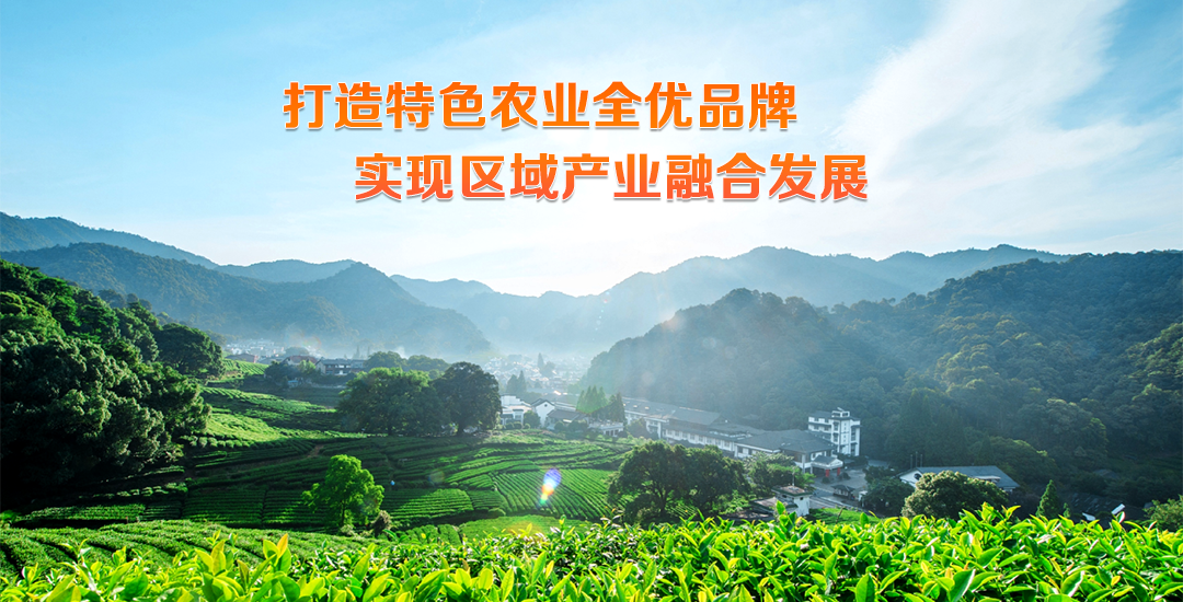 未标题-1.png